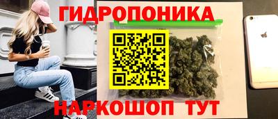 ПСИЛОЦИБИНОВЫЕ ГРИБЫ Северобайкальск